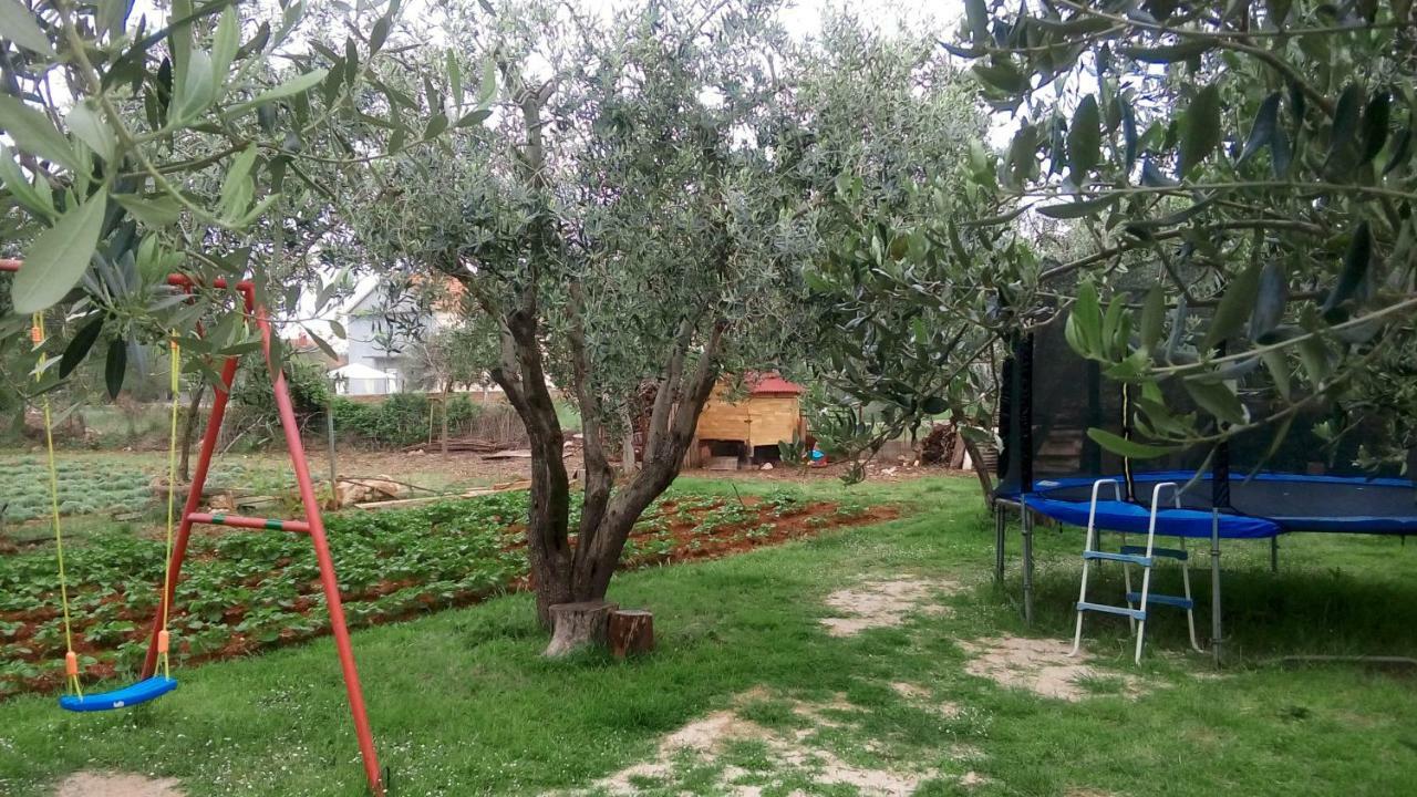 Apartmani Dana Sukosan Sukošan Exterior foto